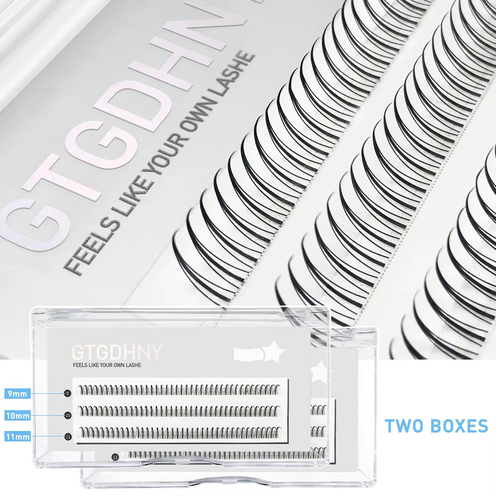 Two Boxes DIY Lashes A/M Shape Spikes Cluster Eyelash Extension Fishtail Mix 3D Heat Bonded False Individual Makeup Premade Fan